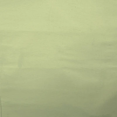 Feldman Mint Cotton Flannel