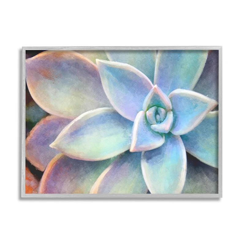 Stupell Industries Succulent Plant Vibrant Bloom Painting Framed Wall Art