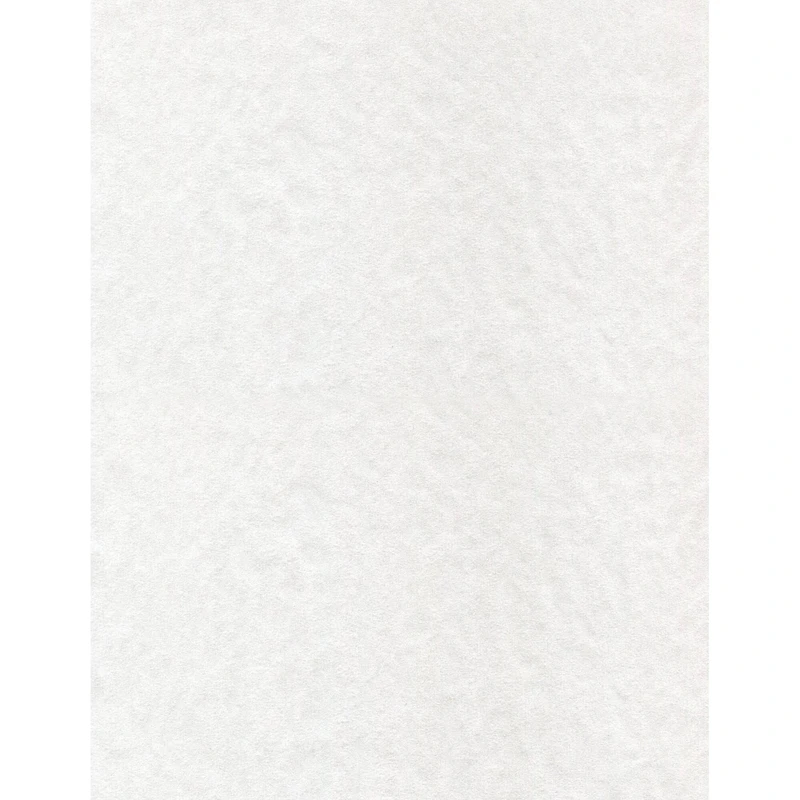 PA Paper™ Accents White 8.5" x 11" 30lb. Glassine Paper, 1000 Sheets