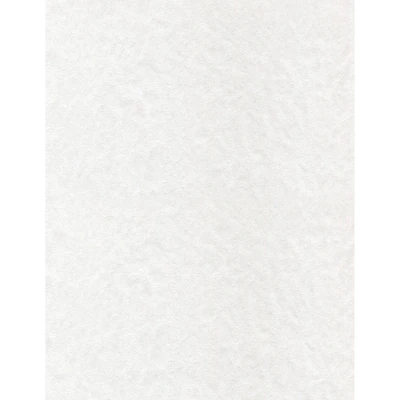 PA Paper™ Accents White 8.5" x 11" 30lb. Glassine Paper, 1000 Sheets