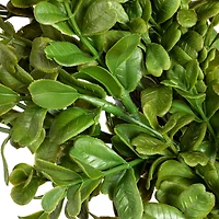 Hello Honey® 13" Green Boxwood Wreath