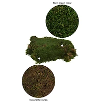 Preserved Green Sheet Moss Bulk Case