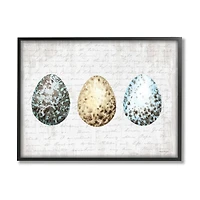 Stupell Industries Robin Eggs Ornamented Farm Confectionary Scripture Background Framed Giclee Art