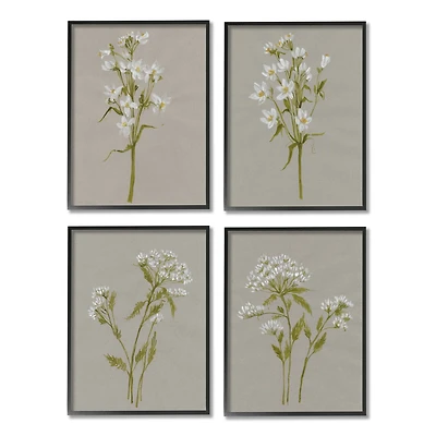 Stupell Industries Vintage White Wild Flower Study Soft Petals in Frame Wall Art