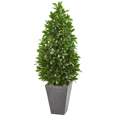 4.7ft. UV Resistant Bay Leaf Cone Topiary Tree in Slate Planter