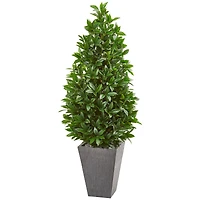 4.7ft. UV Resistant Bay Leaf Cone Topiary Tree in Slate Planter