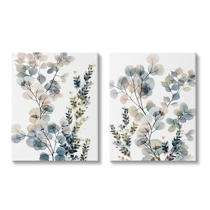Stupell Industries Collage of Translucent Plants Blue Green BeigeCanvas Wall Art