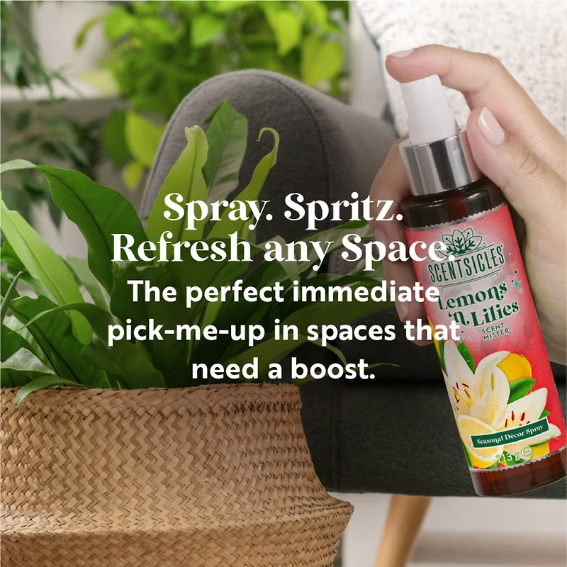 Scentsicles Scent Mister Lemon 'n Lilies, 2 pack