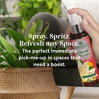 Scentsicles Scent Mister Lemon 'n Lilies, 2 pack