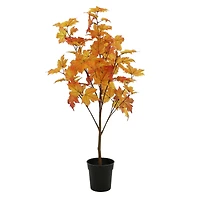 4ft. Orange Maple Tree by Ashland®