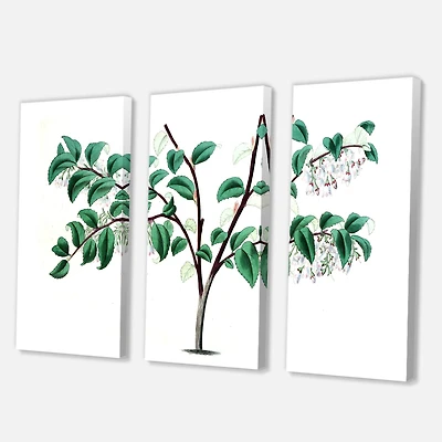 Designart - Vintage Green Leaves Plants I