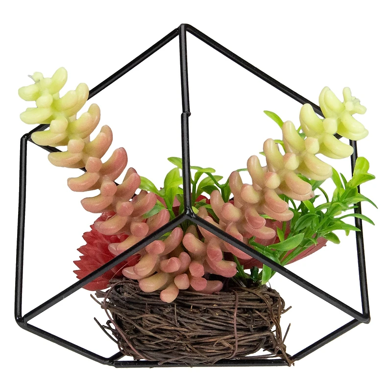 5.5" Succulent Arrangement in Black Metal Wire Frame