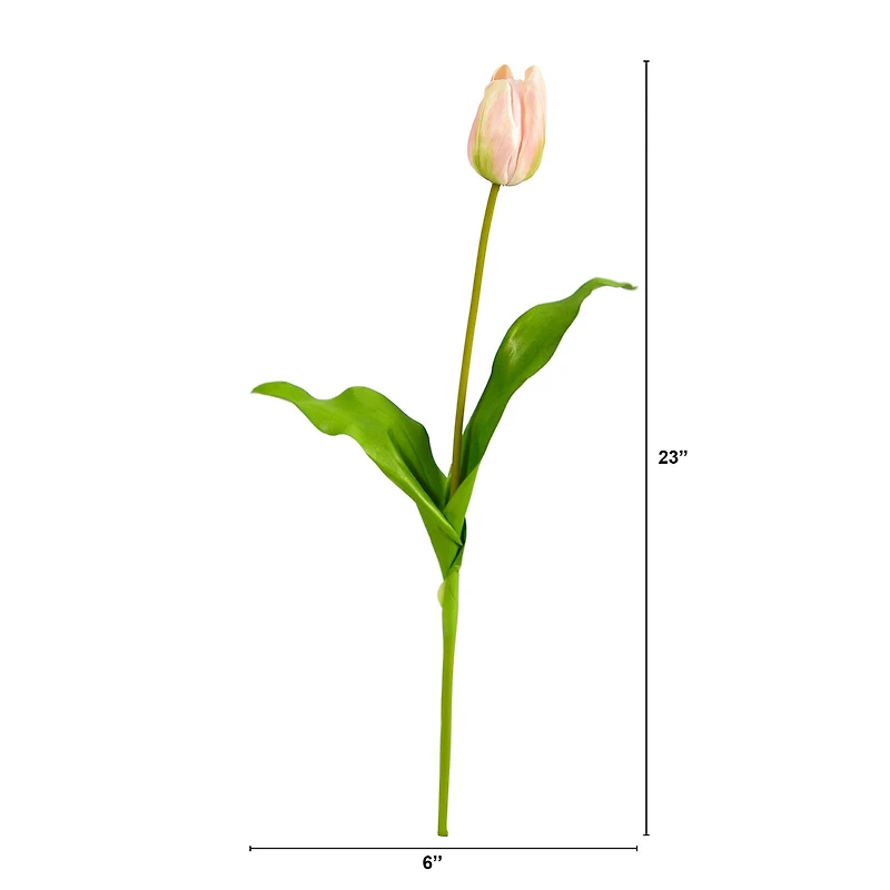 Pink & Cream Dutch Tulip Stem, 12ct.