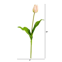 Pink & Cream Dutch Tulip Stem, 12ct.