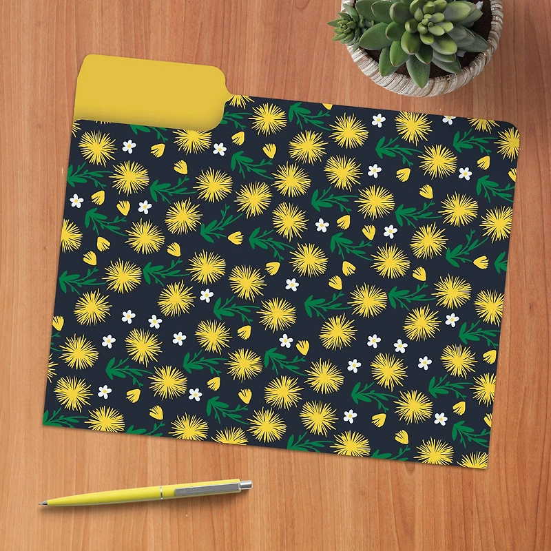 Joy Designer File Folder Set