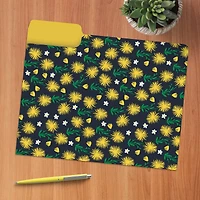 Joy Designer File Folder Set