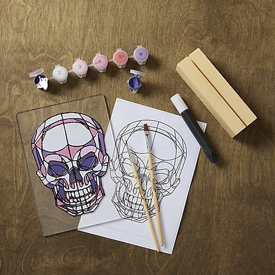 Skull Paint-by-Number Acrylic Surface Kit by Artist's Loft®