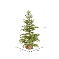 3ft. Unlit Cedar with Pinecones Artificial Christmas Tree in Burlap Base