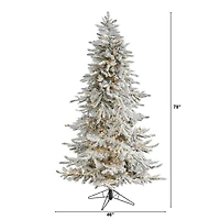 6.5ft. Pre-Lit Flocked Grand Northern Rocky Fir Artificial Christmas Tree, Warm Micro LED Lights