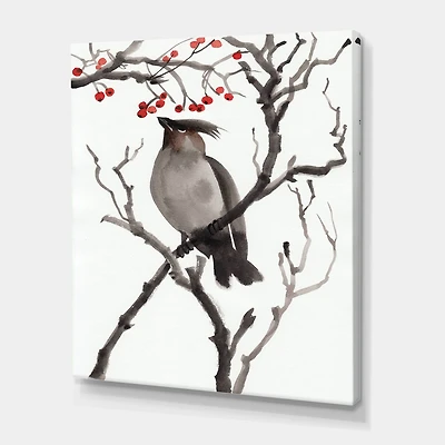 Designart - Vintage Australian Bird Illustrations III