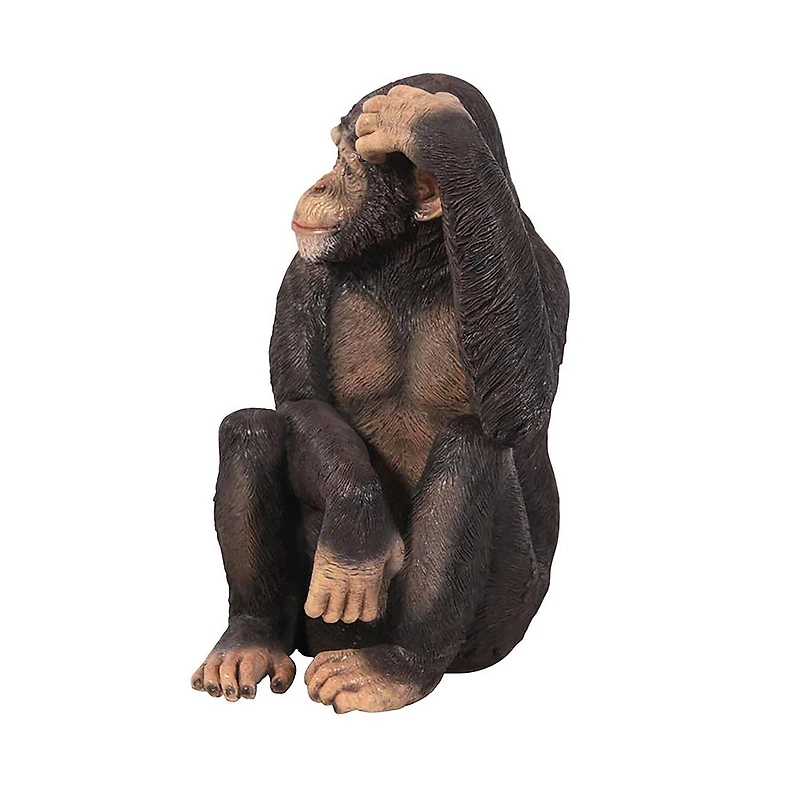 Design Toscano Chauncey the Confused Chimp Garden Monkey Statue