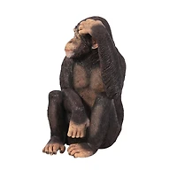 Design Toscano Chauncey the Confused Chimp Garden Monkey Statue