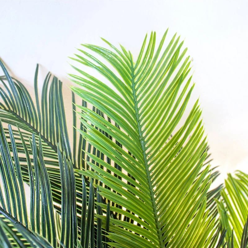 4.5ft. Cycas Plant in White Tower Planter