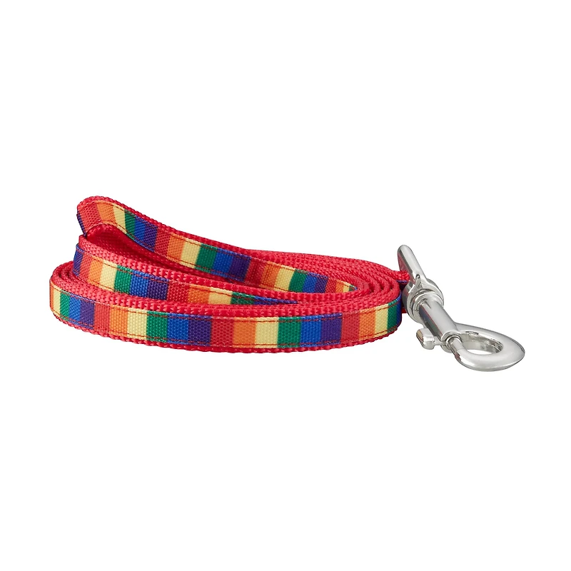 Best Furry Friends Pride Leash