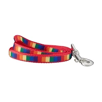 Best Furry Friends Pride Leash
