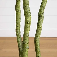 6ft. UV Resistant Artificial Bird Nest Fern Tree (Indoor/Outdoor)