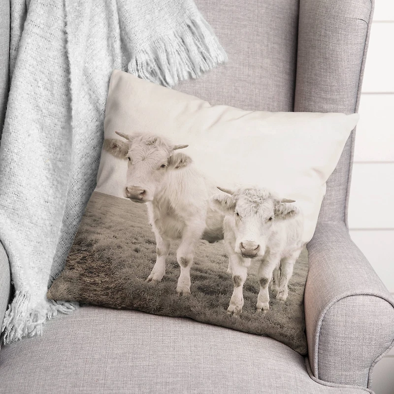 Cow Photograph Indoor/Outdoor Pillow