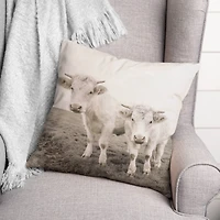 Cow Photograph Indoor/Outdoor Pillow