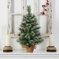 2ft. Pre-Lit Flocked Pine & Berry Artificial Christmas Tree in Burlap Base, Warm White LED Lights