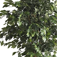 6ft. Potted Double Ball Ficus Silk Tree