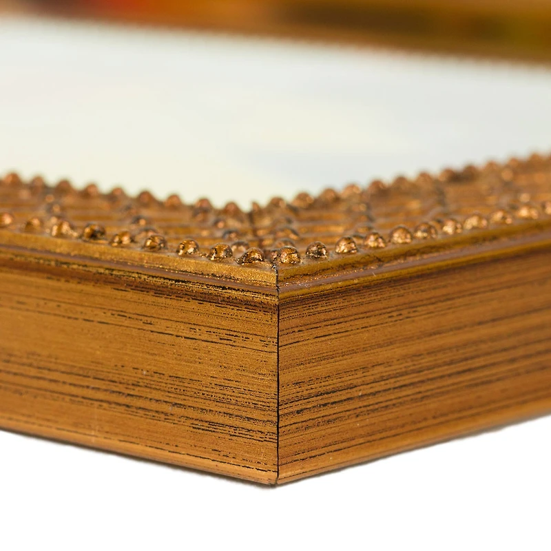 Craig Frames Lenox Antique Gold Picture Frame