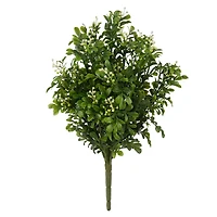 Boxwood & Berry Bush by Ashland®