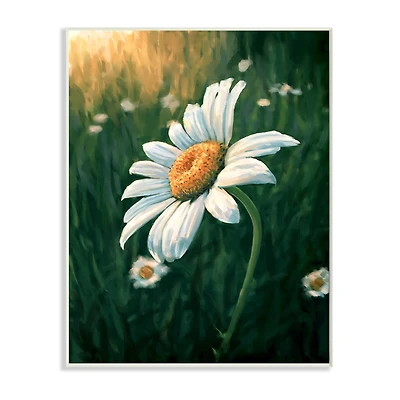 Stupell Industries Daisy Details in Field of Spring Flowers Wall Plaque