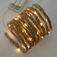 10ft. LED Rope String Lights by Ashland™