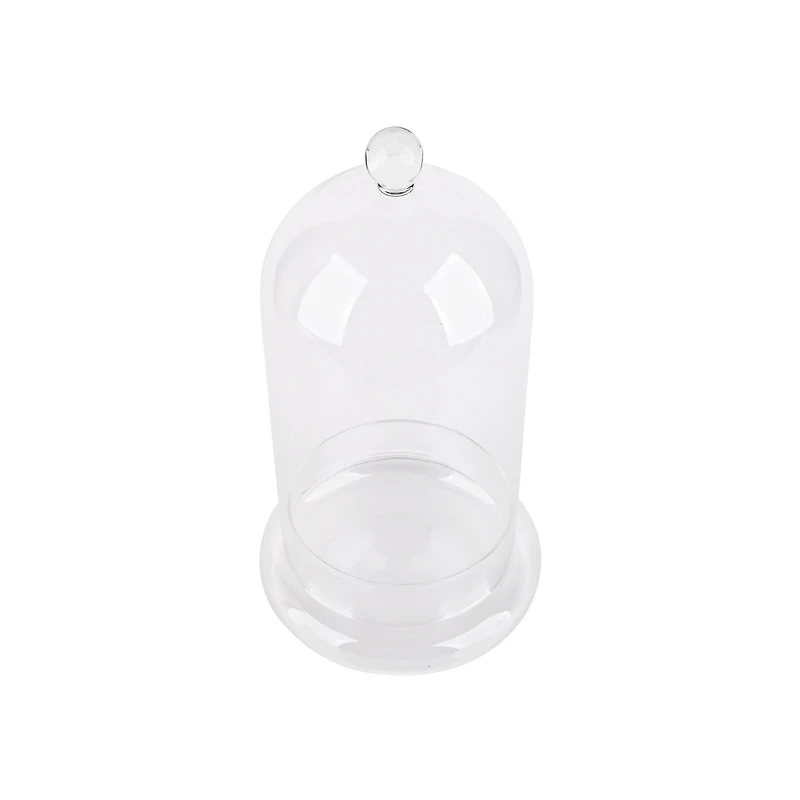 Large Glass Cloche with Base by Ashland®