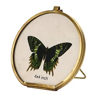 Hello Honey® Brass & Glass 3.5" x 3.5" Photo Frame