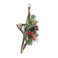 15" Red Berry & Pinecone Grapevine Star by Ashland®