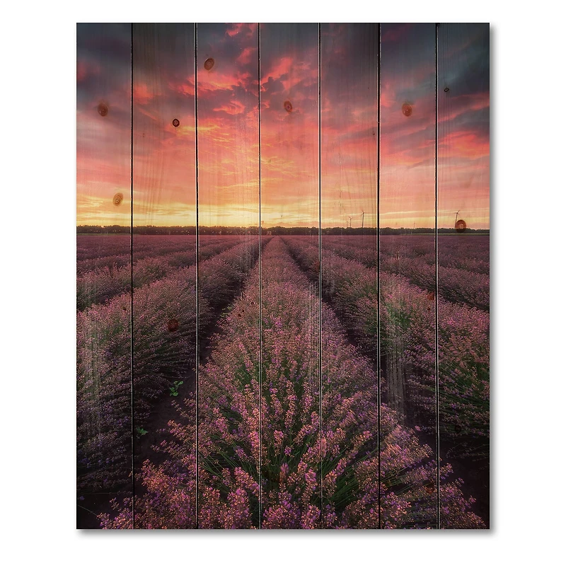 Designart - Sunrise & Dramatic Clouds Over Lavender Field XIV - Farmhouse Print on Natural Pine Wood