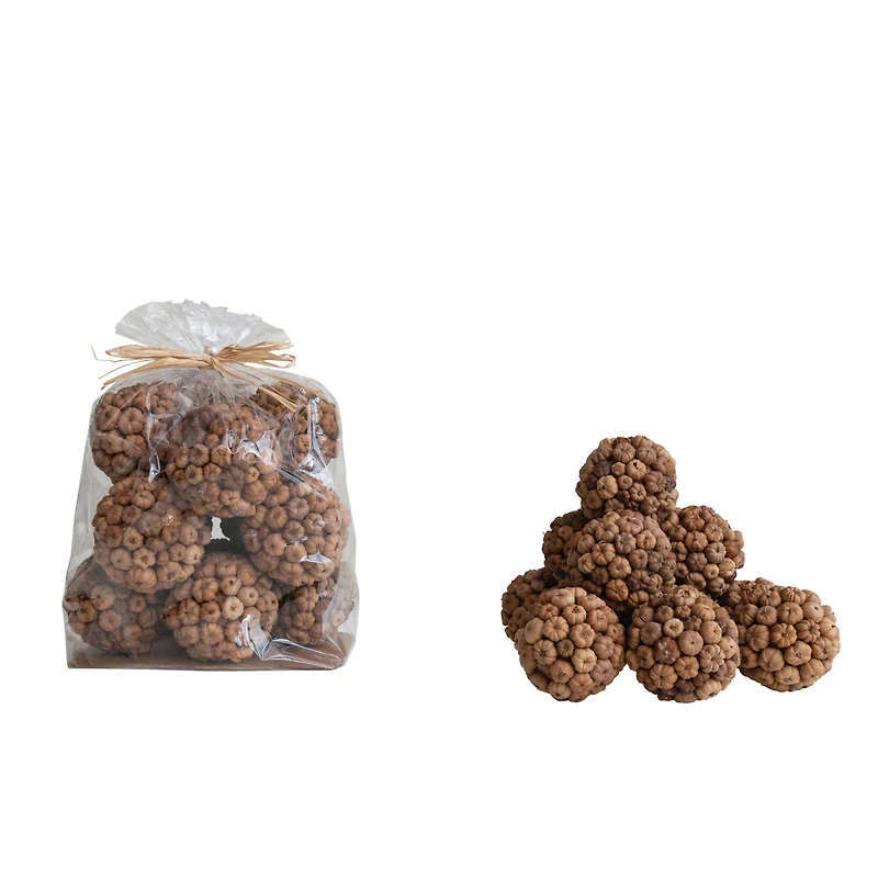 Hello Honey® Round Dried Natural Peepal Pod Orbs, 12ct.