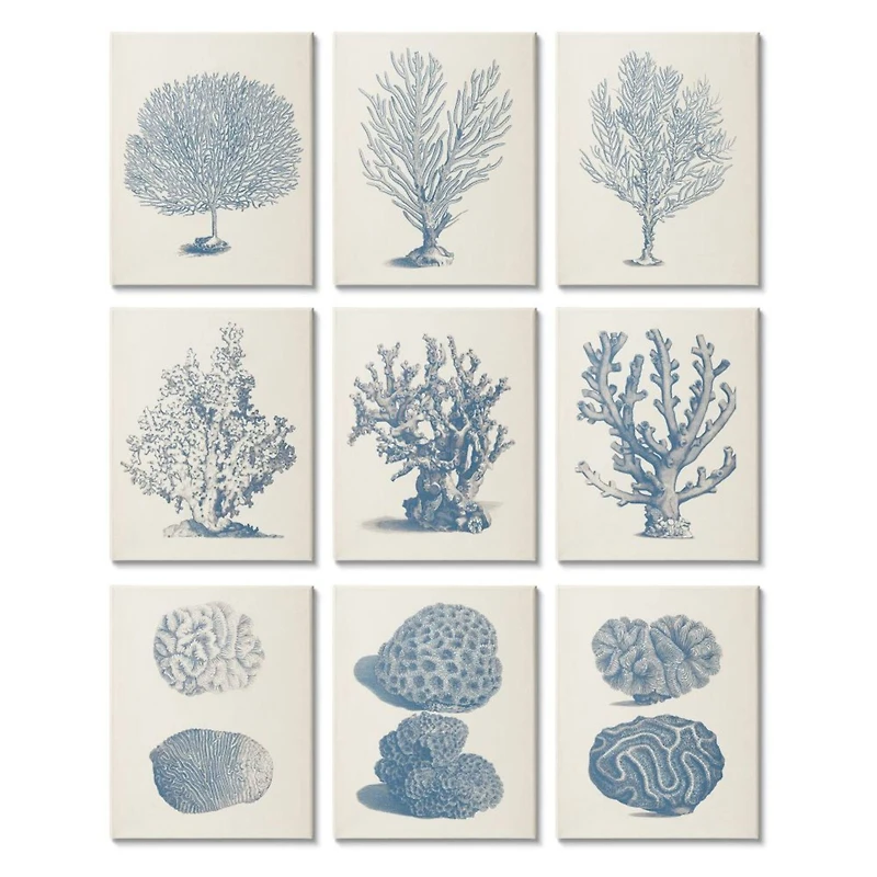 Stupell Industries Soft Blue Nautical Coral Illustrations over Beige,11' x 14"