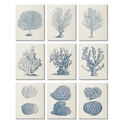 Stupell Industries Soft Blue Nautical Coral Illustrations over Beige,11' x 14"