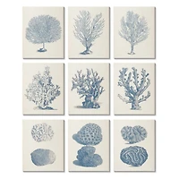 Stupell Industries Soft Blue Nautical Coral Illustrations over Beige,11' x 14"