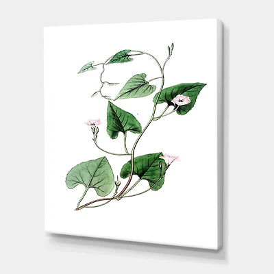 Designart - Vintage Green Leaves Plants IX