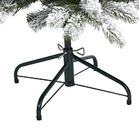 5ft. Pre-Lit South Carolina Spruce Artificial Christmas Tree, Clear LED Lights