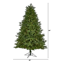 7ft. Pre-Lit Nova Scotia Fir Real Touch Artificial Christmas Tree, Warm White LED Lights