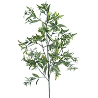 33" Green Ruscus Stem by Ashland®